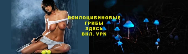 герыч Богородск