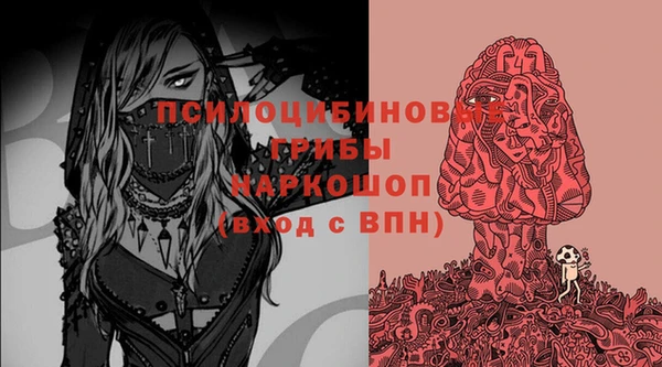 герыч Богородск