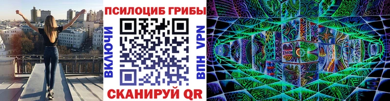 Галлюциногенные грибы Psilocybe  Купить  Арамиль 